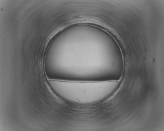 X0000062621513200512210859