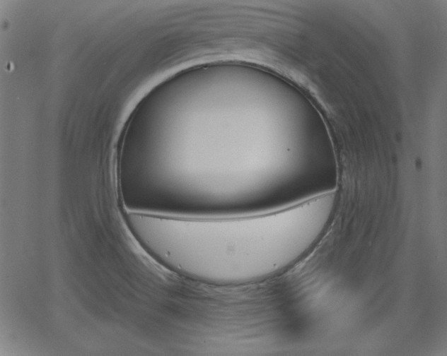 X0000062621516200512210859