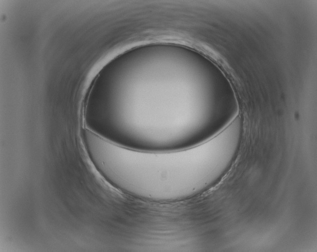 X0000062621520200512210859