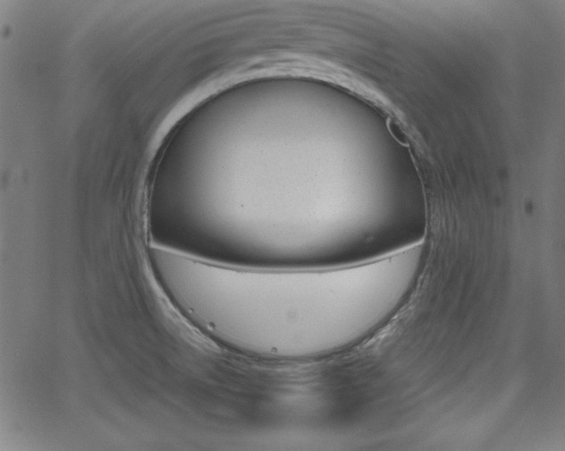 X0000062621522200512210859