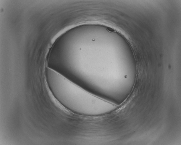 X0000062621526200512210859