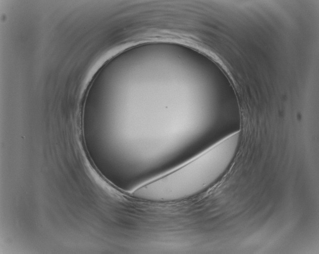 X0000062621531200512210859