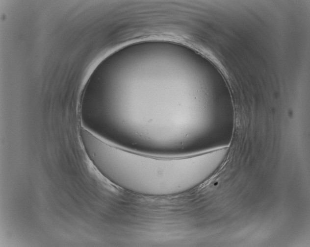 X0000062621532200512210859