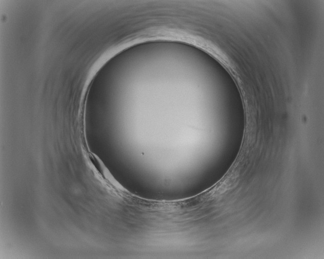 X0000062621536200512210859