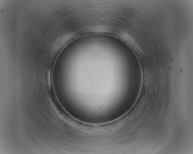 X0000062620014200512211215