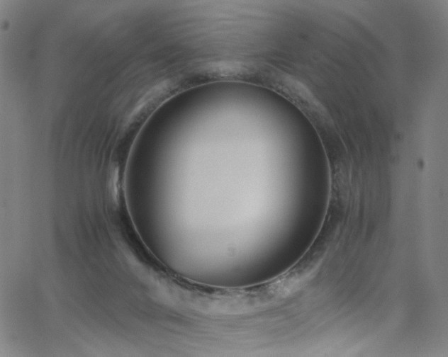 X0000062620024200512211215