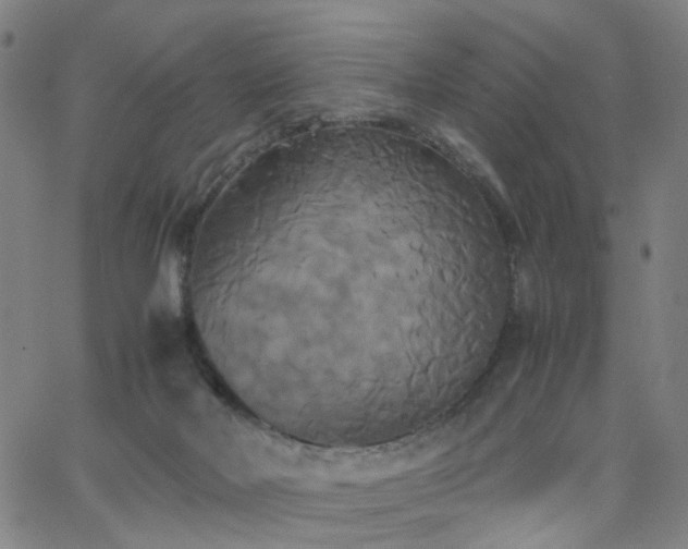 X0000062620026200512211215