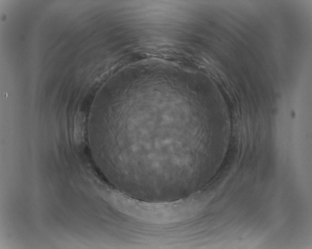 X0000062620030200512211214