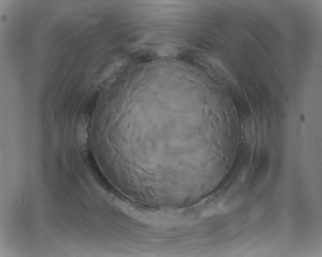X0000062620032200512211214