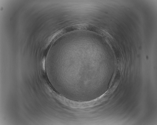 X0000062620047200512211214