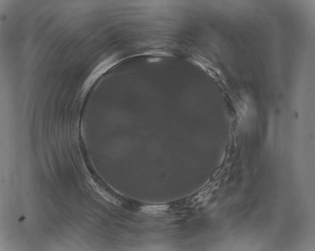 X0000062620051200512211213