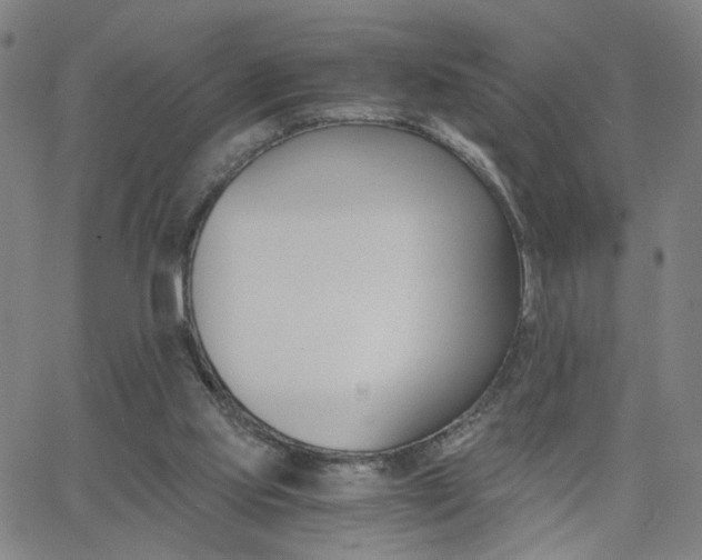 X0000062620061200512211214