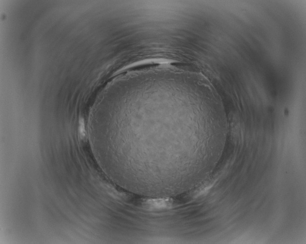 X0000062620089200512211214