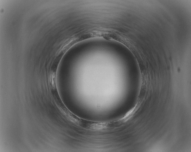 X0000062620094200512211214