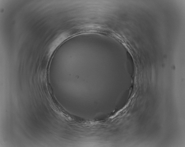 X0000062620099200512211213