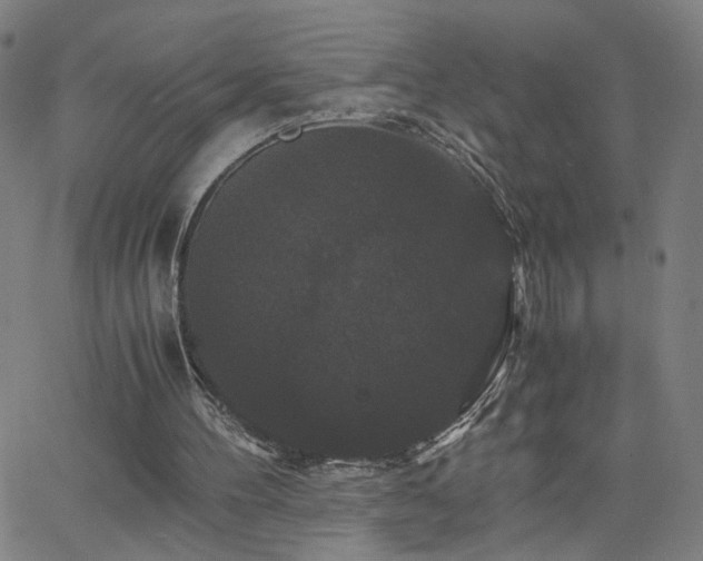 X0000062620100200512211213