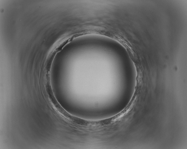 X0000062620101200512211213