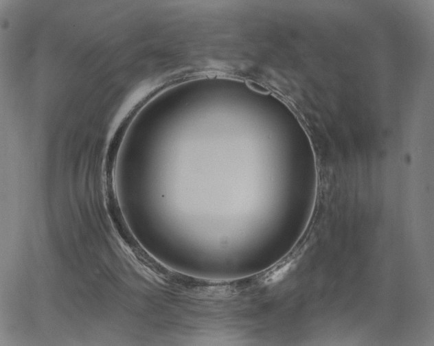 X0000062620102200512211213