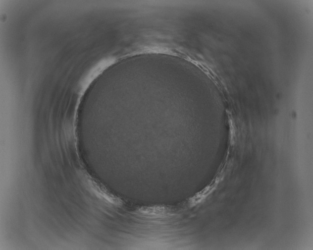 X0000062620104200512211213