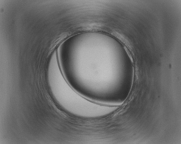X0000062620105200512211213