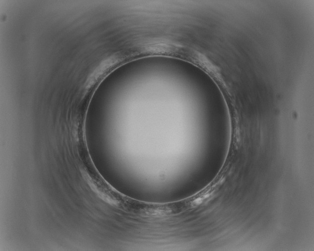 X0000062620106200512211213
