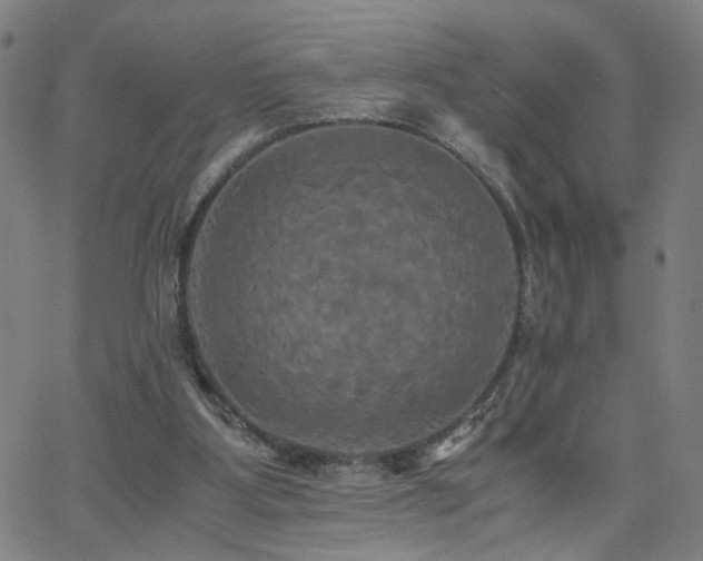 X0000062620107200512211213