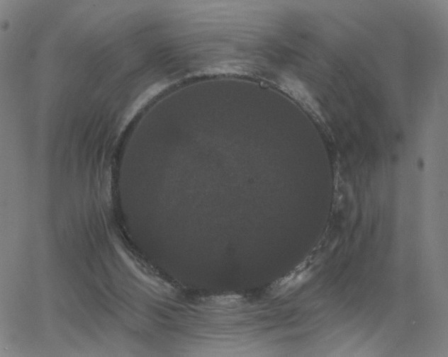 X0000062620108200512211213