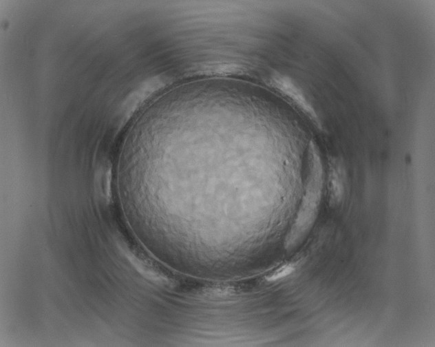 X0000062620110200512211213