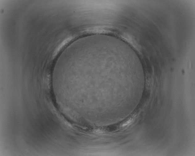 X0000062620111200512211213