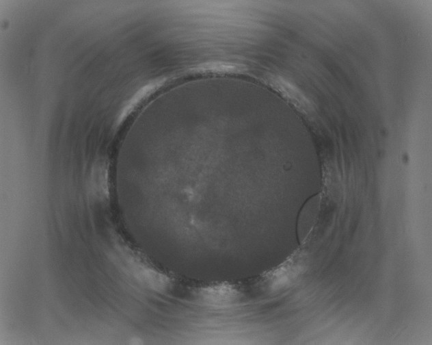 X0000062620112200512211213