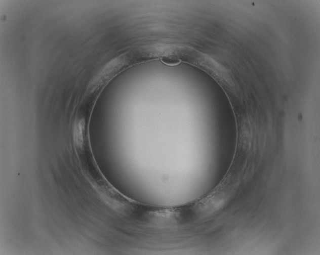 X0000062620118200512211213