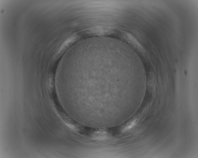 X0000062620119200512211213