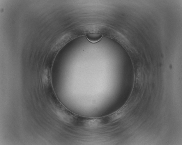 X0000062620122200512211213