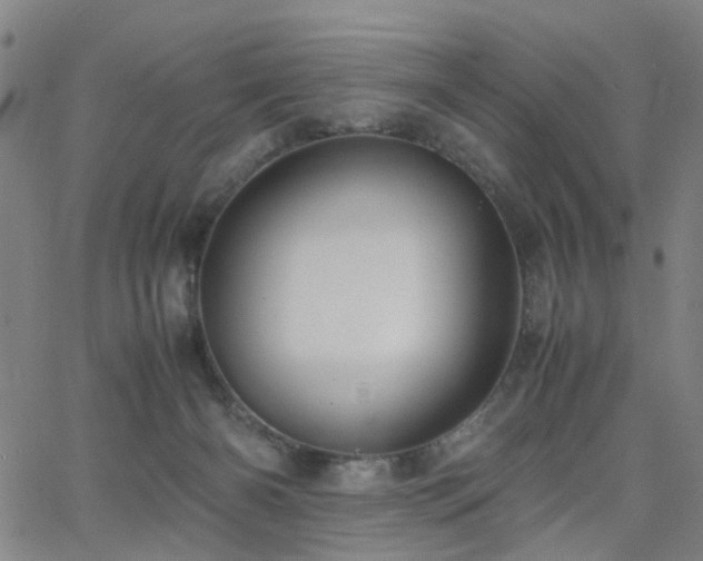 X0000062620126200512211213