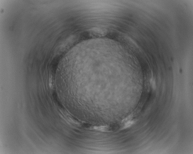 X0000062620134200512211213