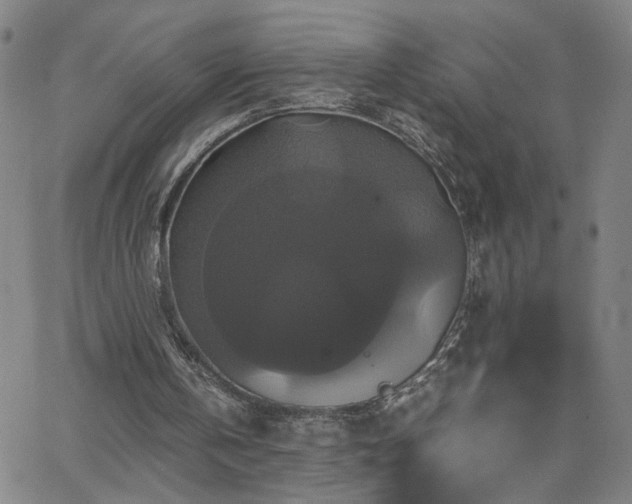 X0000062620146200512211212