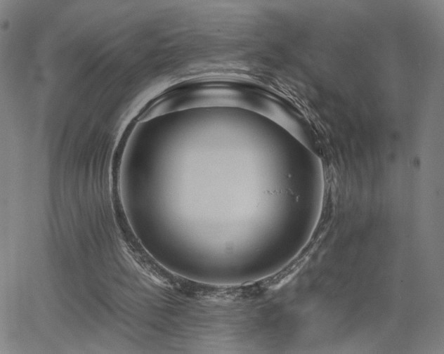 X0000062620148200512211212