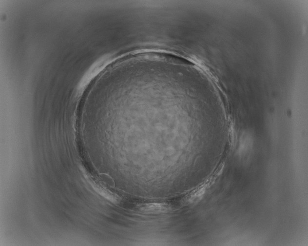 X0000062620151200512211212