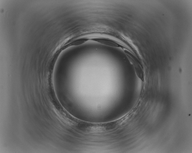 X0000062620154200512211212