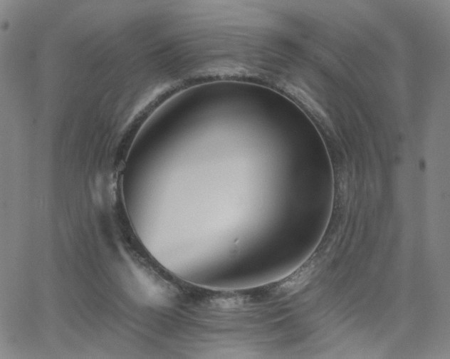 X0000062620160200512211212