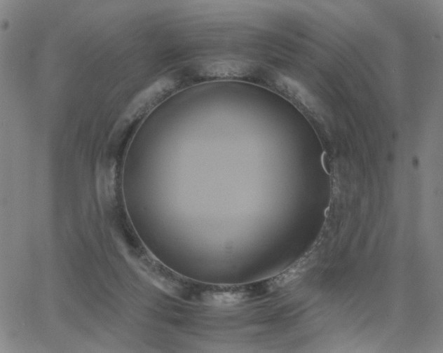 X0000062620163200512211212