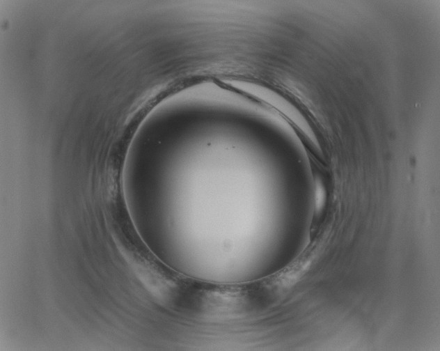 X0000062620164200512211212