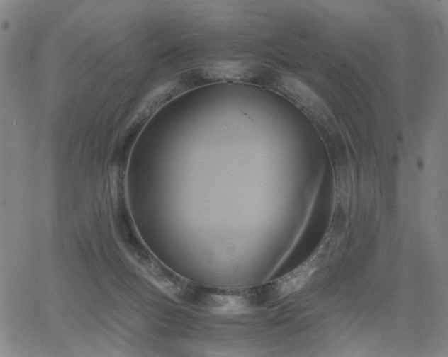 X0000062620167200512211212