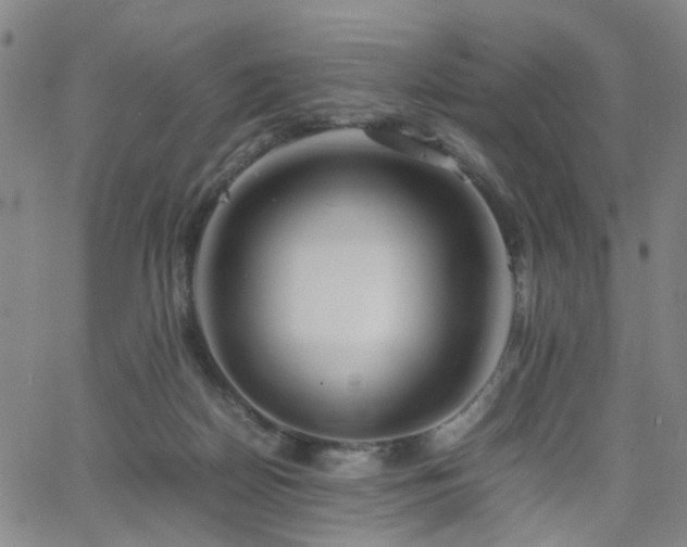 X0000062620170200512211212