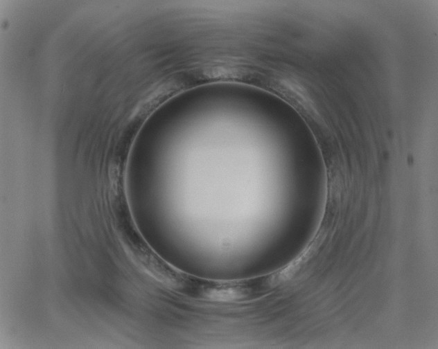 X0000062620171200512211212