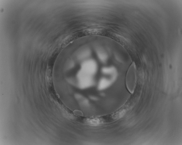 X0000062620181200512211212
