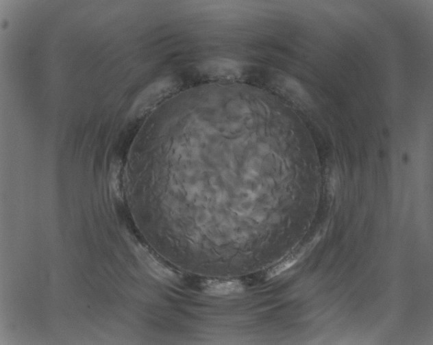 X0000062620185200512211212