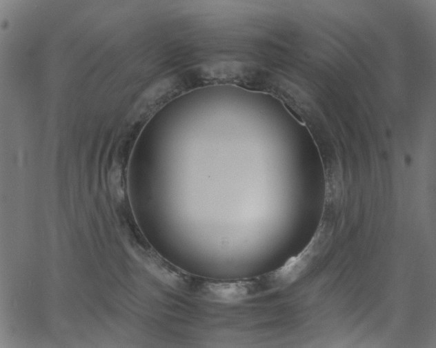 X0000062620187200512211212