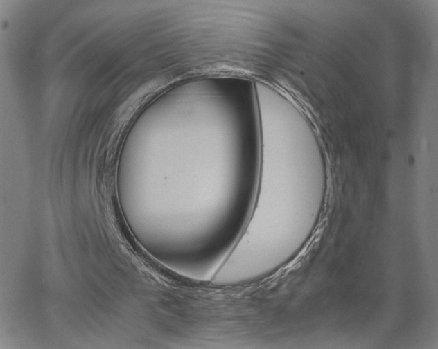 X0000062620193200512211212