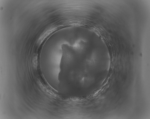 X0000062620194200512211212